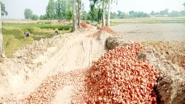 নিম্নমানের সামগ্রী দিয়ে রাস্তা নির্মাণ