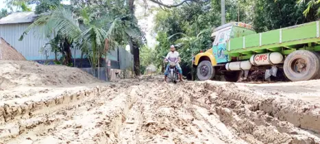 সাটুরিয়ায় বেহাল সড়ক