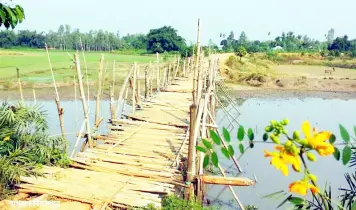নড়বড়ে সাঁকোতেই পারাপার
