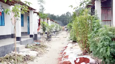 উল্লাপাড়ায় ভূমিহীনদের স্বপ্নের ঠিকানায় সংসার