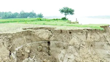 ভাঙনে দিশেহারা ব্রহ্মপুত্র তীরের বাসিন্দারা