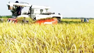 উত্তরে ফুরফুরে মেজাজে কৃষক