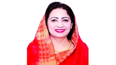 আয় ও সম্পদ বেড়েছে হেনরীর