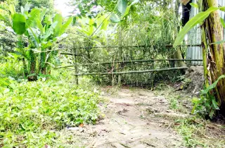 সরকারি রাস্তায় বেড়া, বন্দি অর্ধশত পরিবার