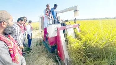 নীলফামারীতে কৃষিযন্ত্র দিয়ে সমলয়ের ধান কাটা শুরু