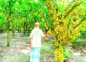 লটকনে স্বাবলম্বী মনোহরদীর তোতা