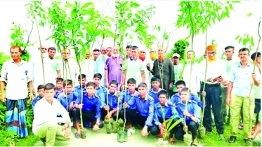 বৃক্ষপ্রেমী