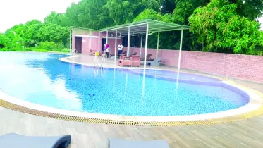 পাখির কিচির মিচির