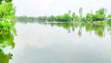 নালিতাবাড়ীর সুতানাল দীঘি