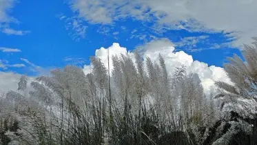 অপরিবর্তিত থাকতে পারে দিন-রাতের তাপমাত্রা 
