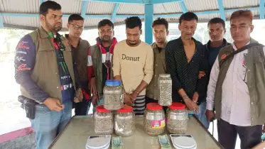 বাবা-ছেলে ৩ কেজি গাঁজাসহ আটক
