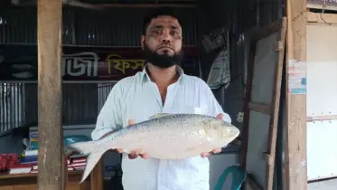 এক ইলিশের দাম ১২ হাজার টাকা!