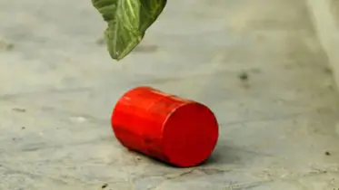 রাজধানীর পল্টনে ককটেল বিস্ফোরণ