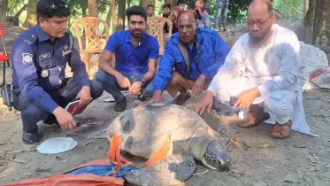 মেঘনায় ২০০ বছর বয়সী ৭১ কেজি ওজনের কাছিম অবমুক্ত
