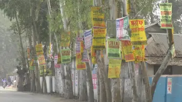 কে শুনবে গাছের এ বোবা কান্না!