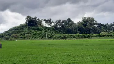 মিয়ানমারের ছোড়া মর্টারশেল পড়ল ঘুমধুম সীমান্তে, নিহত ২ 