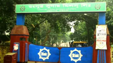 তিন বছরেও চালু হয়নি রংপুর চিনিকল 