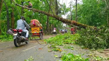 দেশে কালবৈশাখী ঝড়ে ১৪ জন নিহত