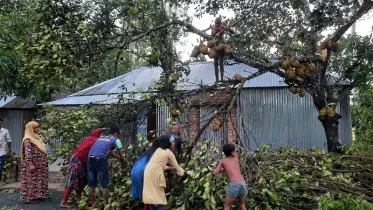 রায়গঞ্জে হঠাৎ ঝড়ে লন্ডভন্ড বাড়িঘর-গাছপালা