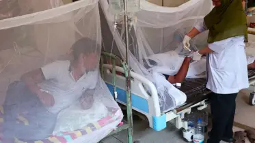 ডেঙ্গুতে আরো ৬ মৃত্যু, কমেছে আক্রান্ত 