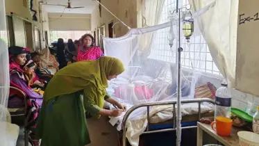 ২৬৬ দিনে ডেঙ্গুতে মৃত্যু ৯০০ ছুঁই ছুঁই