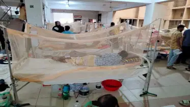 ডেঙ্গুতে একদিনে রেকর্ড ১৩ জনের মৃত্যু