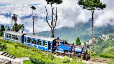 দার্জিলিং যাবেন? দিতে হবে কর, জেনে নিন কত 