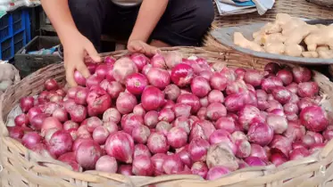 দেশে এলো ১৬৩ টন পেঁয়াজ