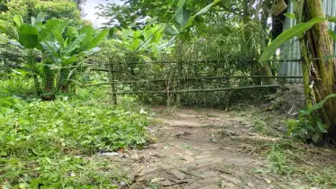বাঁশের বেড়ায় বন্দি অর্ধশত পরিবার