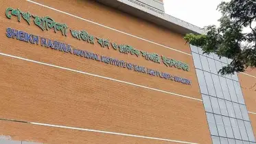 নিতাইগঞ্জে দগ্ধ হওয়া র‌্যাব সদস্যের চিকিৎসাধীন অবস্থায় মৃত্যু