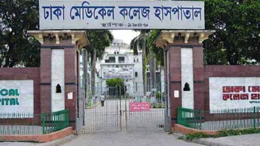 ছিনতাইকারীর কবলে কলেজ শিক্ষিকা, ভর্তি হাসপাতালে 