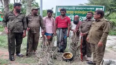 সুন্দরবনে রান্না করা হরিণের মাংস ও ট্রলারসহ তিন শিকারী আটক