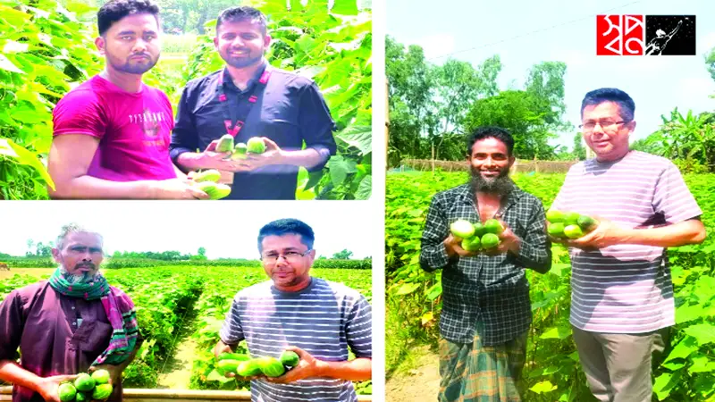 শসা চাষির পাশে ‘স্বপ্ন’ শসা চাষির পাশে ‘স্বপ্ন’
