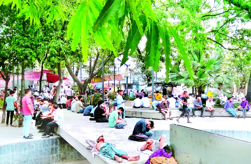 গাছতলায় বসে জিরিয়ে নেওয়া, হাতপাখা দিয়ে বাতাস গাছতলায় বসে জিরিয়ে নেওয়া, হাতপাখা দিয়ে বাতাস