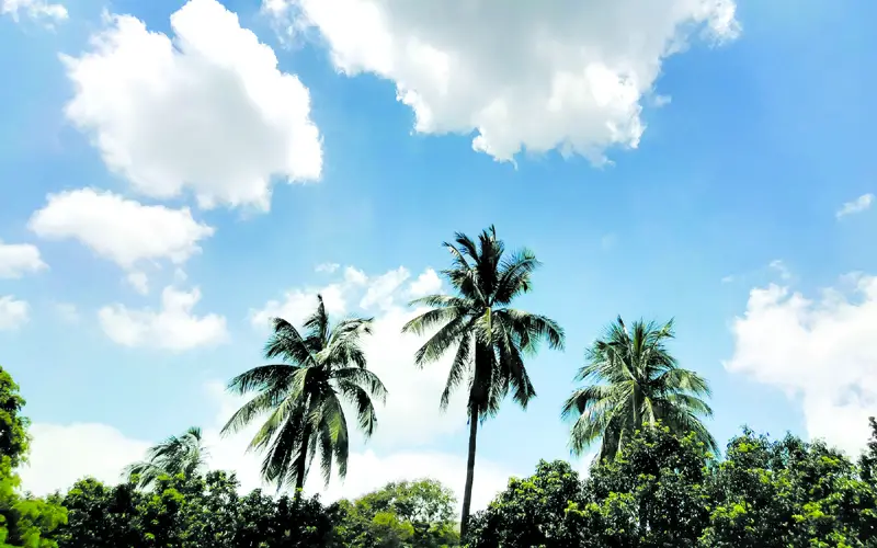 বৃষ্টির ফাঁকে ঝকঝকে নীল আকাশ, মিষ্টি চাঁদের আলো বৃষ্টির ফাঁকে ঝকঝকে নীল আকাশ, মিষ্টি চাঁদের আলো