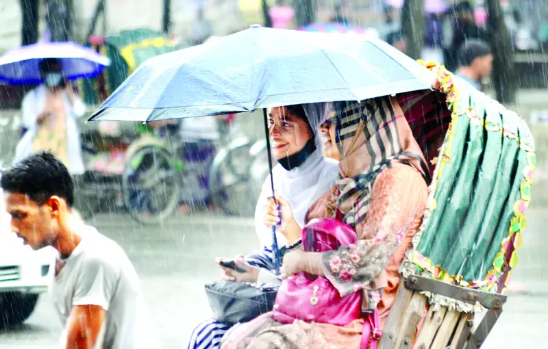 বায়ান্ন বাজার তপ্পিান্ন গলি বায়ান্ন বাজার তপ্পিান্ন গলি