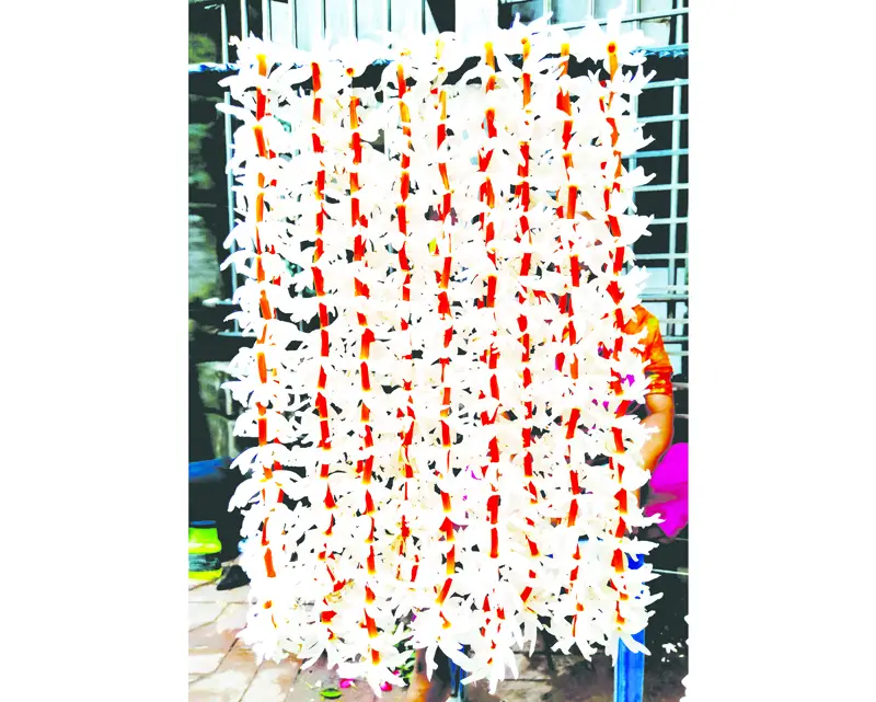 প্রেমে ব্যর্থ রাজকন্যার দেহভস্ম থেকে জন্ম নেওয়া ফুল প্রেমে ব্যর্থ রাজকন্যার দেহভস্ম থেকে জন্ম নেওয়া ফুল