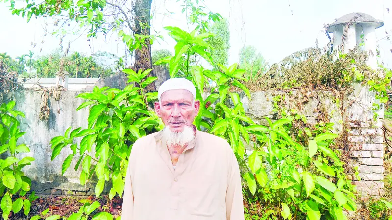 সারি বেঁধে হানাদাররা প্রতি রাতে হত্যা করত মুক্তিকামীদের সারি বেঁধে হানাদাররা প্রতি রাতে হত্যা করত মুক্তিকামীদের