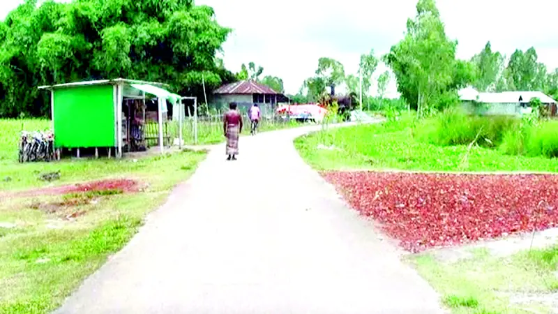 পঞ্চগড়ের বিলুপ্ত ছিটমহল এখন বদলে যাওয়া জনপদ পঞ্চগড়ের বিলুপ্ত ছিটমহল এখন বদলে যাওয়া জনপদ