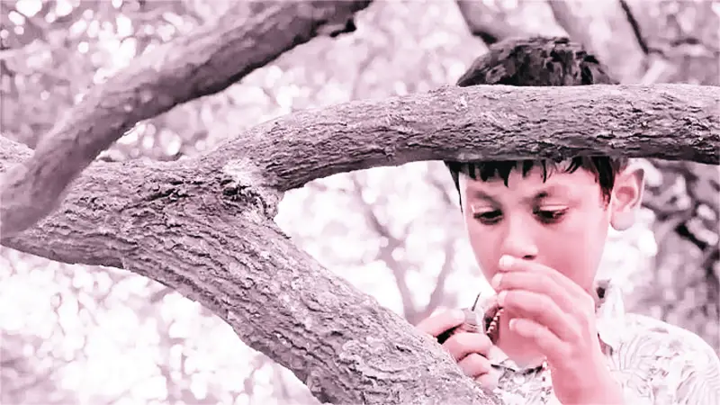 রাশিয়ায় চলচ্চিত্র উৎসবে পুরস্কৃত ‘আম কাঁঠালের ছুটি’ রাশিয়ায় চলচ্চিত্র উৎসবে পুরস্কৃত ‘আম কাঁঠালের ছুটি’