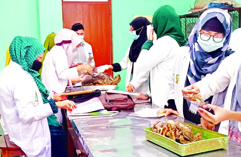 ক্যারিয়ার হিসাবে ভেটেরিনারি চিকিৎসক ক্যারিয়ার হিসাবে ভেটেরিনারি চিকিৎসক
