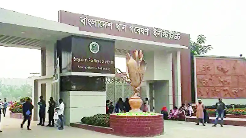 বাংলাদেশ ধান গবেষণা ইনস্টিটিউট (ব্রি) গাজীপুর বাংলাদেশ ধান গবেষণা ইনস্টিটিউট (ব্রি) গাজীপুর
