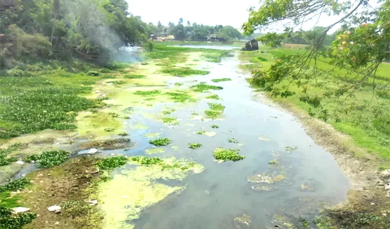 কপোতাক্ষ - সতত সেই নদের কথা কপোতাক্ষ - সতত সেই নদের কথা