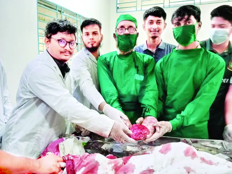 অসুস্থ প্রাণীর পাশে গরিব ভেটেরিনারি অনুষদ অসুস্থ প্রাণীর পাশে গরিব ভেটেরিনারি অনুষদ