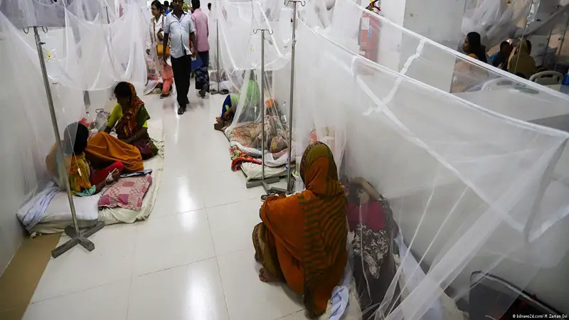 ডেঙ্গুতে একদিনে ১৫ মৃত্যু, হাসপাতালে ভর্তি ২৯৫০ ডেঙ্গুতে একদিনে ১৫ মৃত্যু, হাসপাতালে ভর্তি ২৯৫০