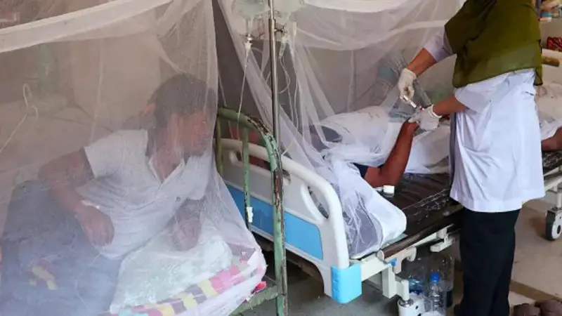 ডেঙ্গুতে আরও ৭ মৃত্যু, হাসপাতালে ভর্তি ২৩৬৭ ডেঙ্গুতে আরও ৭ মৃত্যু, হাসপাতালে ভর্তি ২৩৬৭