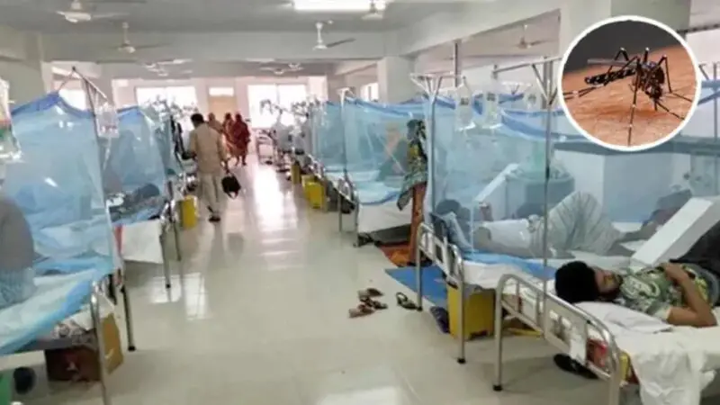 ডেঙ্গু আক্রান্ত হয়ে হাসপাতালে আরও ১৪৭, মৃত্যু ২ ডেঙ্গু আক্রান্ত হয়ে হাসপাতালে আরও ১৪৭, মৃত্যু ২