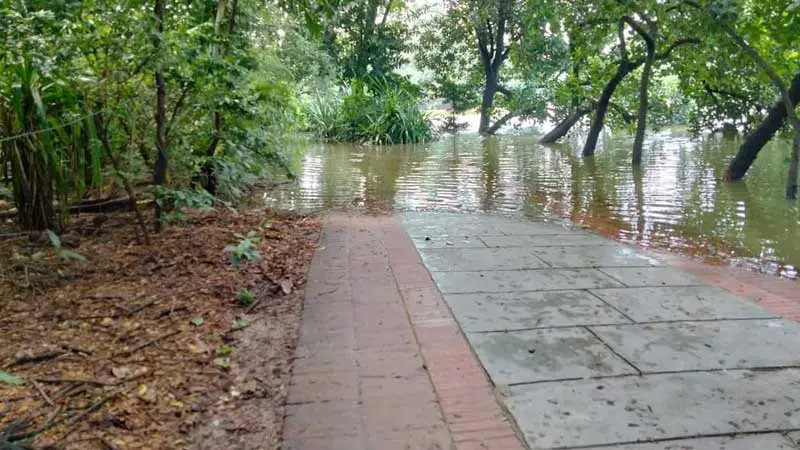 বৃষ্টির পানিতে তলিয়ে গেছে ধানমন্ডি লেক