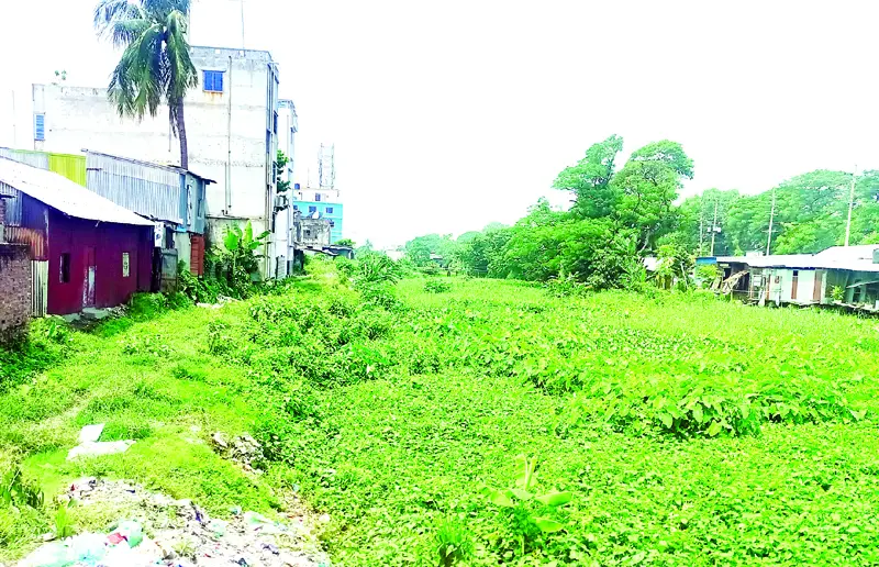 দখল দূষণে অস্তিত্ব হারাচ্ছে রিকাবীবাজার খাল দখল দূষণে অস্তিত্ব হারাচ্ছে রিকাবীবাজার খাল