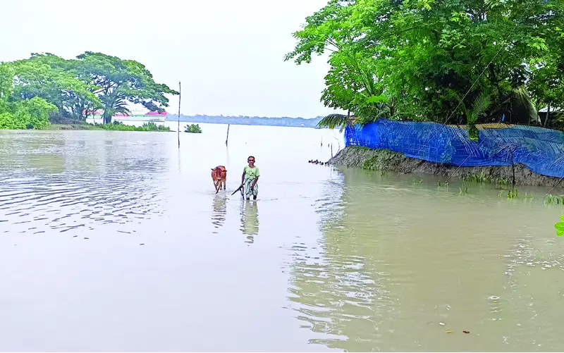 বৈরী প্রকৃতির সঙ্গে সংগ্রাম করে বেঁচে আছে উপকূলের মানুষ বৈরী প্রকৃতির সঙ্গে সংগ্রাম করে বেঁচে আছে উপকূলের মানুষ